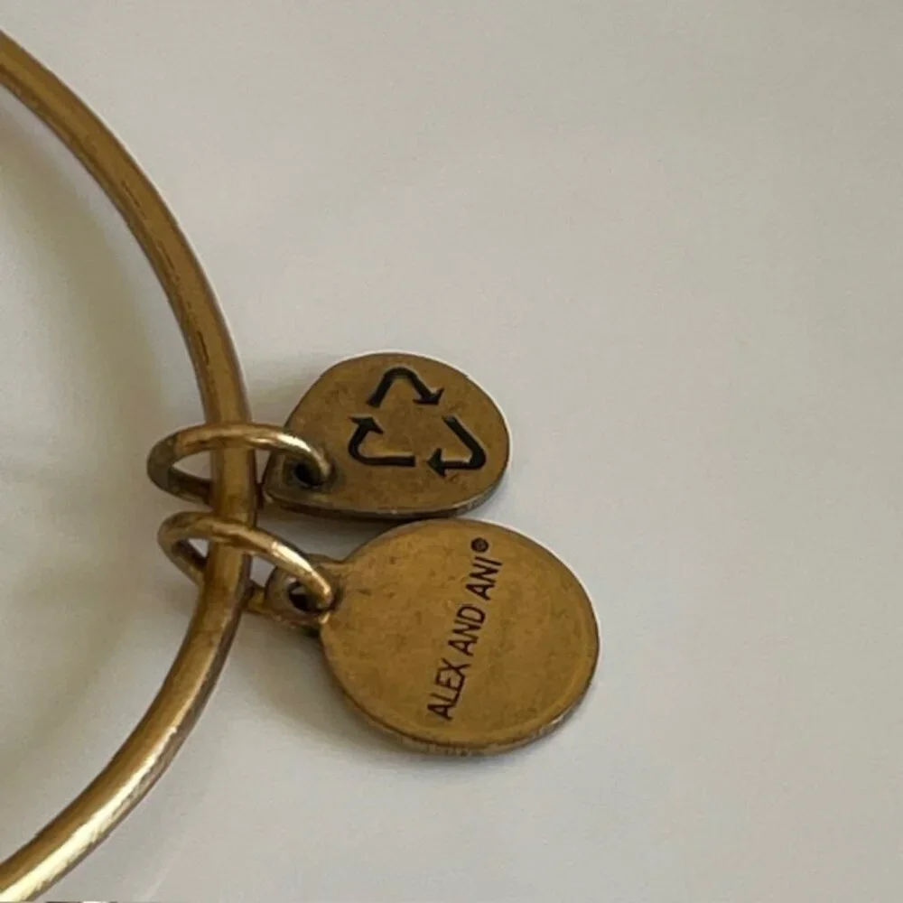 Disney World X Alex & Ani Bundle of 2 Goldtone Bracelets